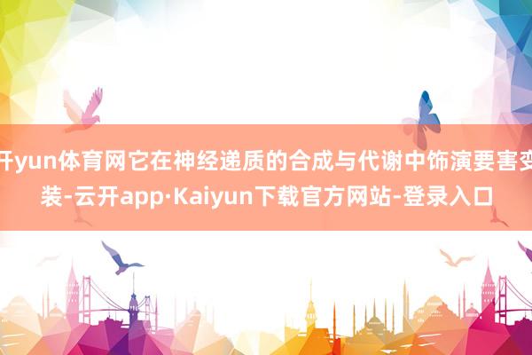 开yun体育网它在神经递质的合成与代谢中饰演要害变装-云开app·Kaiyun下载官方网站-登录入口