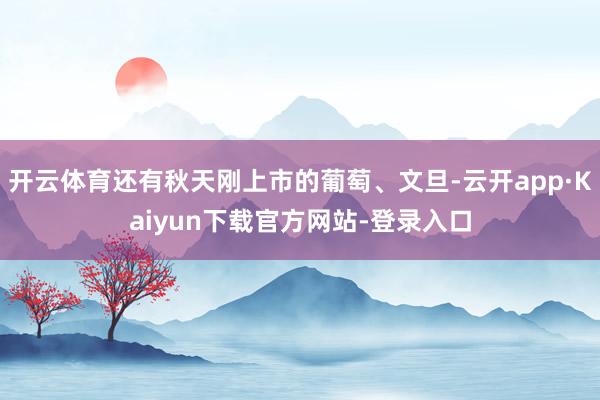 开云体育还有秋天刚上市的葡萄、文旦-云开app·Kaiyun下载官方网站-登录入口