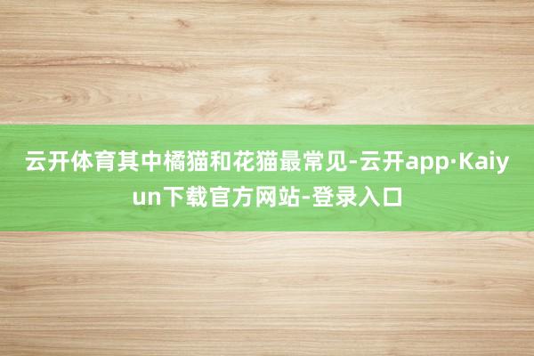云开体育其中橘猫和花猫最常见-云开app·Kaiyun下载官方网站-登录入口