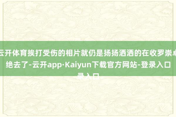 云开体育挨打受伤的相片就仍是扬扬洒洒的在收罗崇卓绝去了-云开app·Kaiyun下载官方网站-登录入口