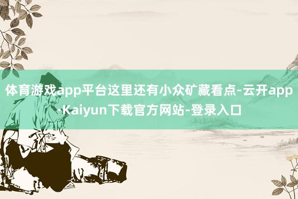 体育游戏app平台这里还有小众矿藏看点-云开app·Kaiyun下载官方网站-登录入口